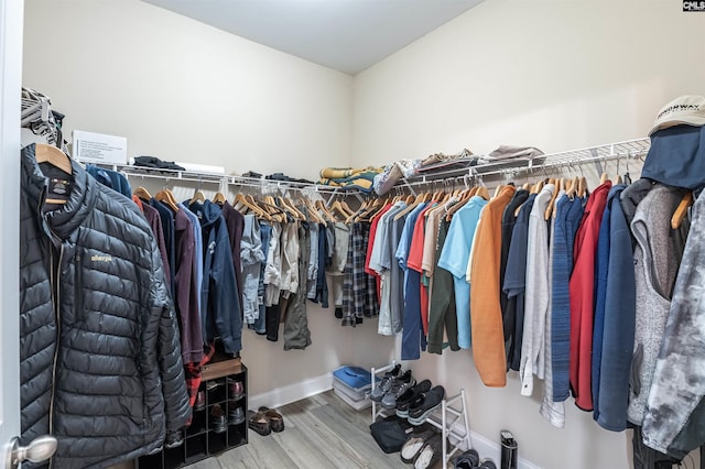 383 Summersweet Ct, Blythewood, SC 29016 - walk in closet featuring wood finished floors