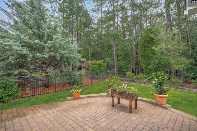 383 Summersweet Ct, Blythewood, SC 29016 - view of patio