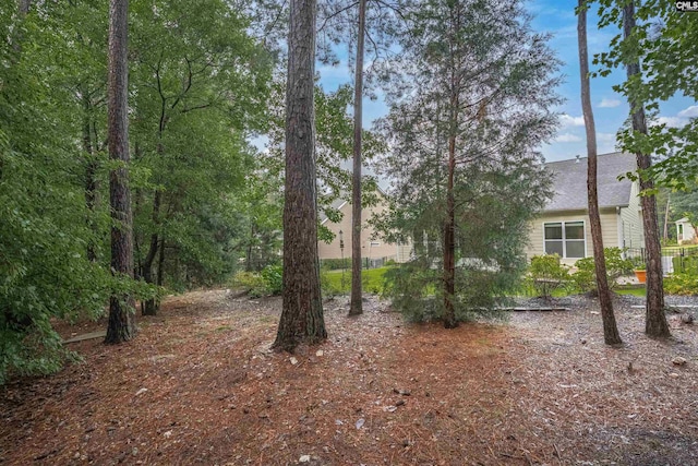 383 Summersweet Ct, Blythewood, SC 29016 - view of yard
