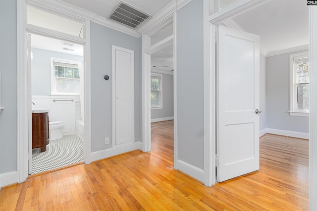 3407 River Dr Unit D, Columbia, SC 29201 - hall with light wood-style floors, ornamental molding, baseboards, and plenty of natural light