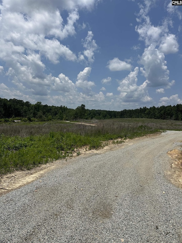 0 Crooked Creek Rd, Chapin, SC 29036