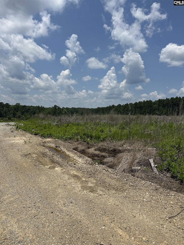 0 Crooked Creek Rd, Chapin, SC 29036