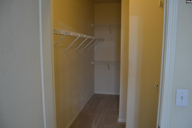 1085 Shop Rd Unit 226, Columbia, SC 29201 - walk in closet featuring carpet