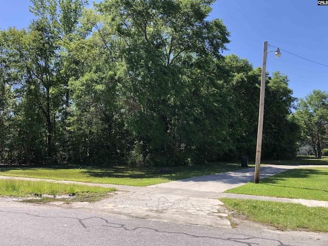0 Middle St, Bamberg, SC 29003