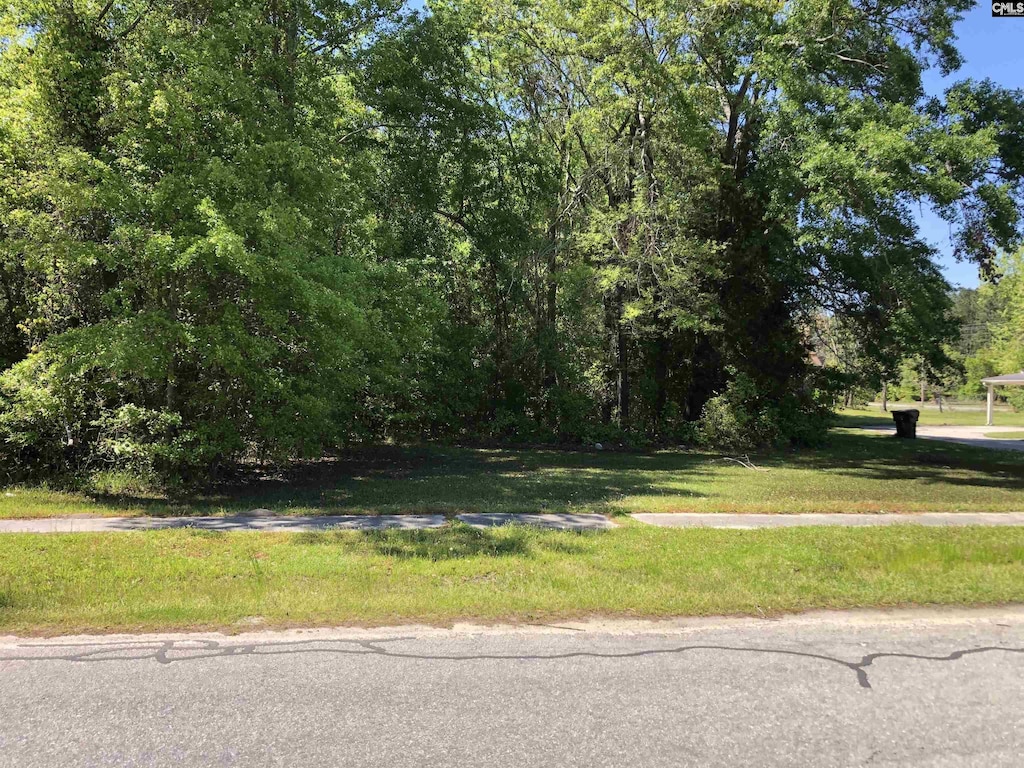 0 Middle St, Bamberg, SC 29003