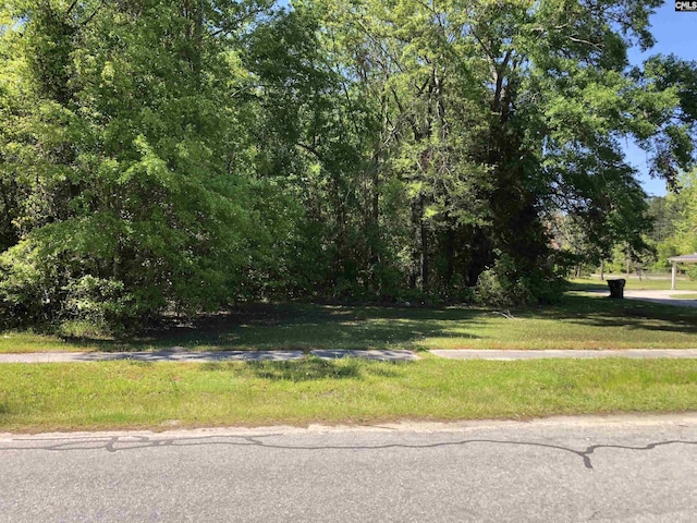 0 Middle St, Bamberg, SC 29003