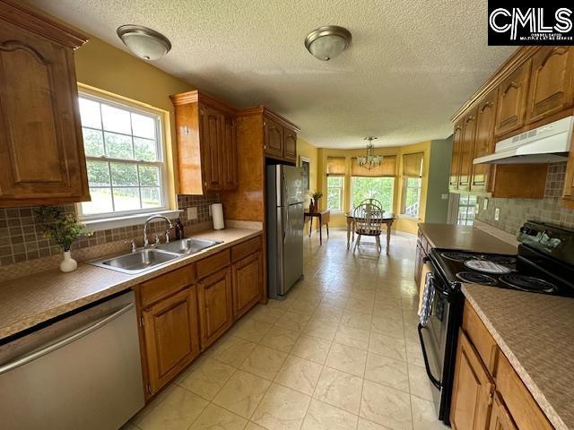 12 Beech Branch Ct, Irmo, SC 29063 - kitchen with stainless steel appliances, under cabinet range hood, a sink, a chandelier, and healthy amount of natural light