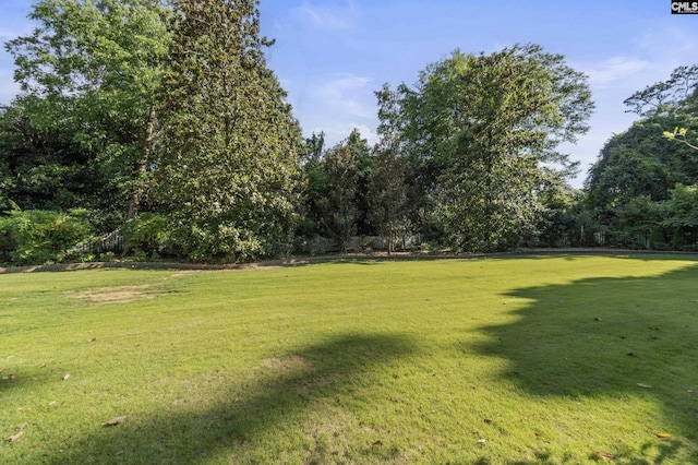 415 Pine St, Camden, SC 29020 - view of green lawn