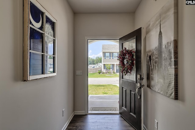 837 Marigold Ln, Lexington, SC 29072 - entrance foyer featuring dark wood-style flooring and baseboards