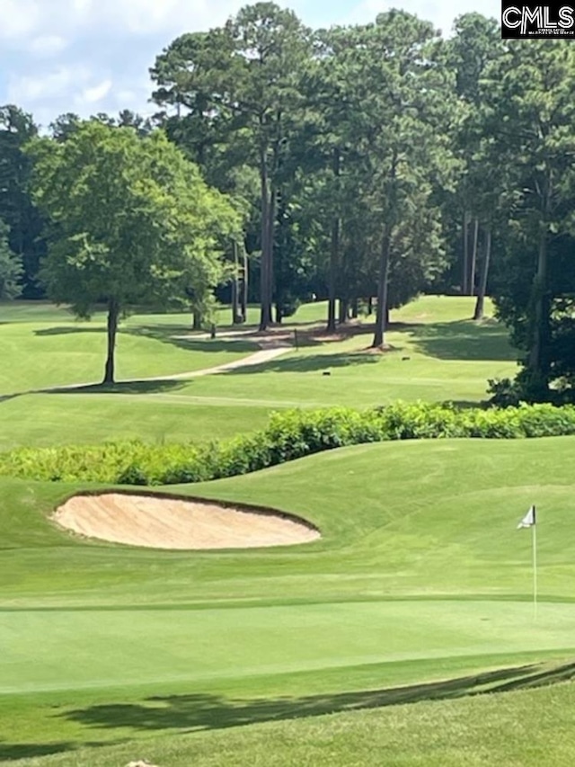 288 Links Crossing Dr, Blythewood, SC 29016 - surrounding community with a yard, view of golf course, and view of wooded area