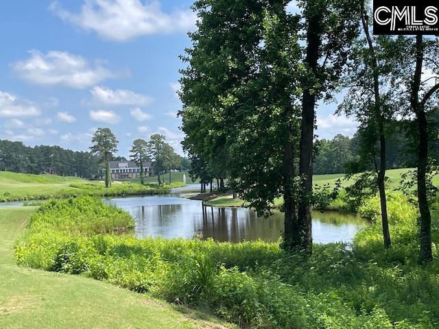 288 Links Crossing Dr, Blythewood, SC 29016 - water view