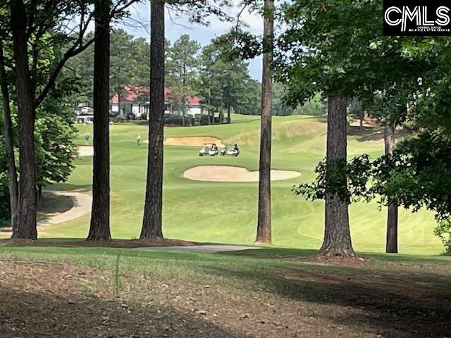 288 Links Crossing Dr, Blythewood, SC 29016 - view of community with view of golf course and a yard