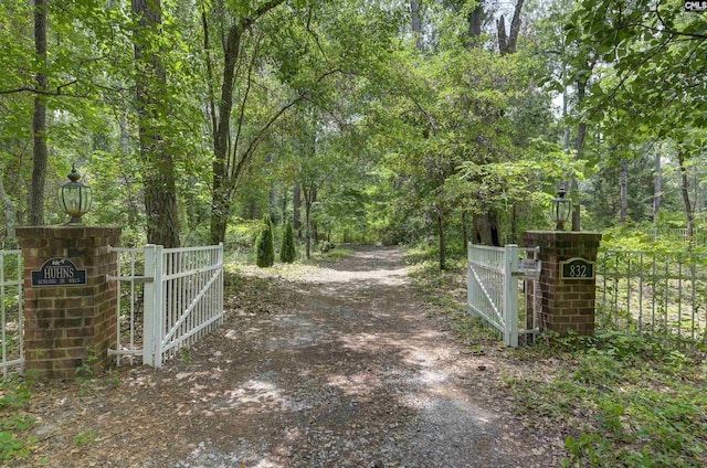 832 Longtown Rd, Blythewood, SC 29016 - view of street featuring a gate, a forest view, and a gated entry