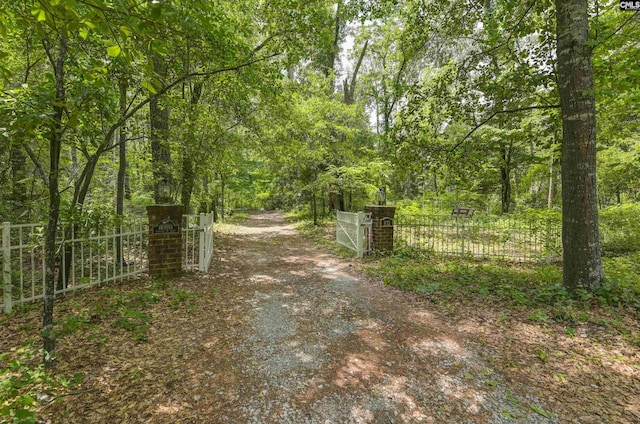 832 Longtown Rd, Blythewood, SC 29016 - view of road with a forest view, a gated entry, and a gate
