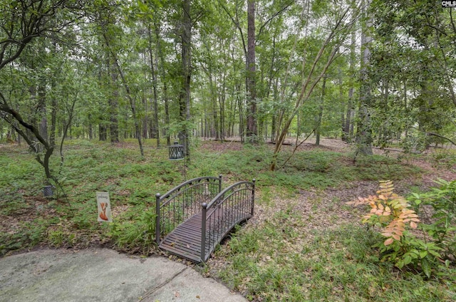 832 Longtown Rd, Blythewood, SC 29016 - view of yard