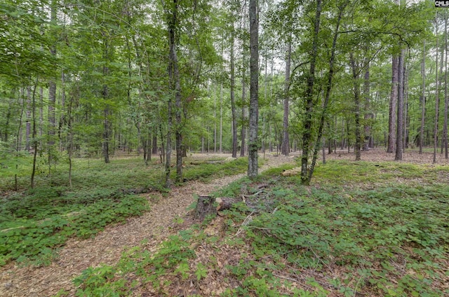 832 Longtown Rd, Blythewood, SC 29016 - view of tree filled area