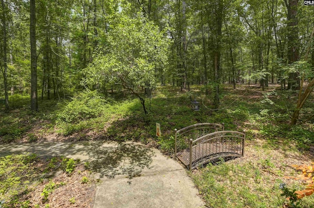 832 Longtown Rd, Blythewood, SC 29016 - view of yard featuring a forest view