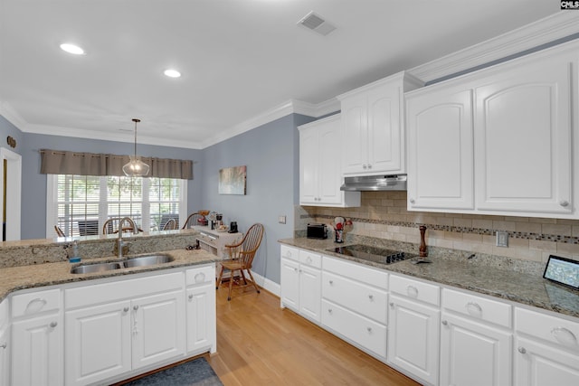 317 Cartgate Cir, Blythewood, SC 29016 - kitchen with black electric stovetop, a sink, under cabinet range hood, light wood-type flooring, and decorative backsplash
