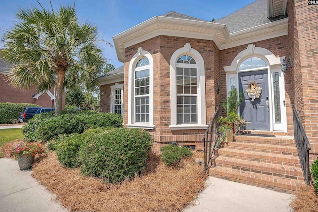 317 Cartgate Cir, Blythewood, SC 29016 - property entrance featuring brick siding and roof with shingles