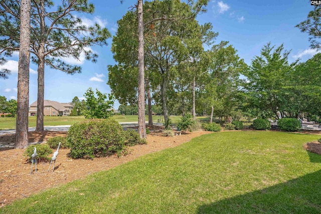 317 Cartgate Cir, Blythewood, SC 29016 - view of green lawn
