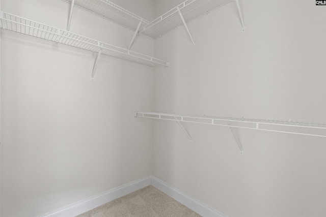 1412 Hammerwood Ln, Westminster, SC 29170 - walk in closet featuring carpet flooring