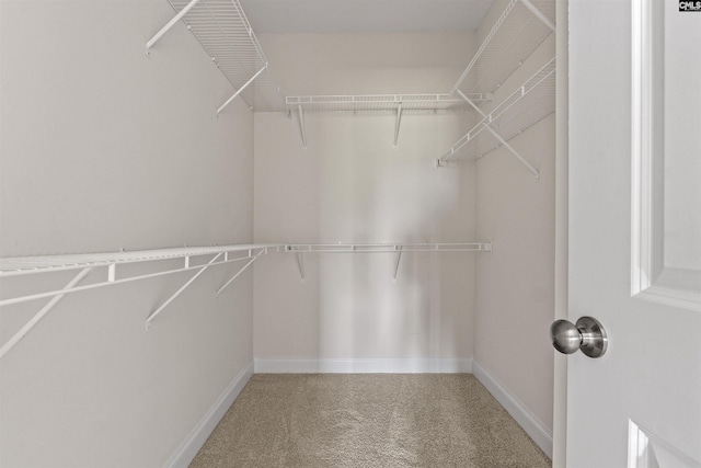 1412 Hammerwood Ln, Westminster, SC 29170 - walk in closet with carpet