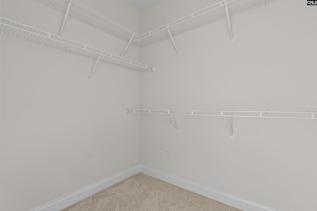 1412 Hammerwood Ln, Westminster, SC 29170 - walk in closet featuring carpet