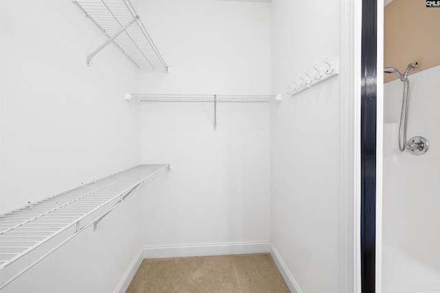 560 Park Place Dr, Elgin, SC 29045 - walk in closet with light colored carpet