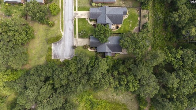 560 Park Place Dr, Elgin, SC 29045 - aerial view of property and surrounding area