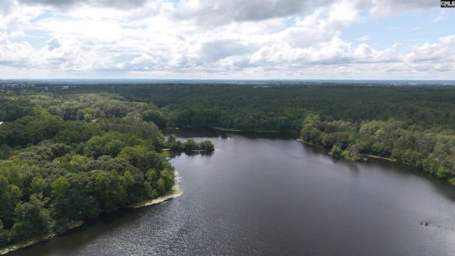 560 Park Place Dr, Elgin, SC 29045 - drone / aerial view of a forest and a nearby body of water