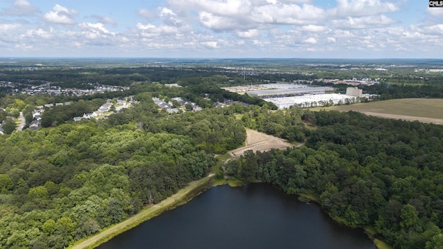 560 Park Place Dr, Elgin, SC 29045 - bird's eye view of a heavily wooded area and a large body of water