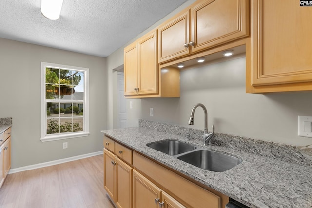 110 Walking Horse Way, Columbia, SC 29223 - kitchen featuring a sink, light wood-style floors, baseboards, light stone counters, and a textured ceiling