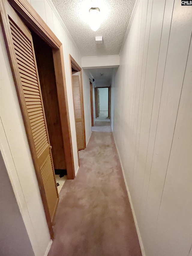 325 Beltline Ave, Batesburg, SC 29006 - hallway featuring a textured ceiling, baseboards, crown molding, and light colored carpet