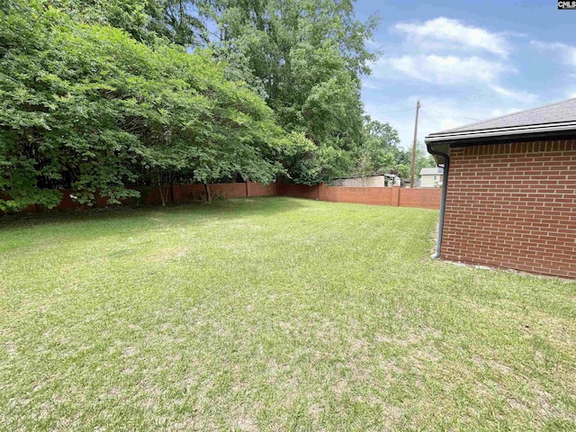 325 Beltline Ave, Batesburg, SC 29006 - view of yard