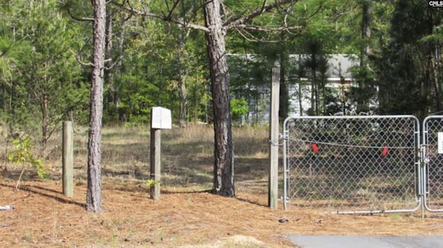 7933 Edmund Hwy, Pelion, SC 29123