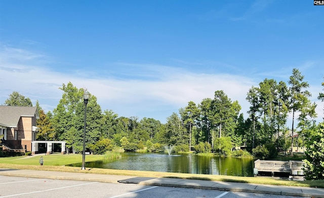 1035 Beaufort Farm Rd, Blythewood, SC 29016 - water view