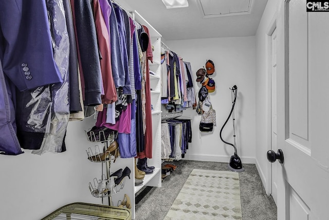 1305 Forest View Rd, Conway, SC 29526 - spacious closet with carpet floors