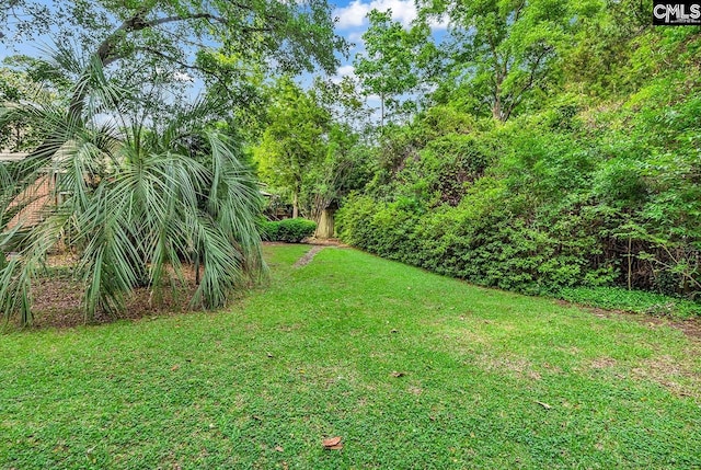 1305 Forest View Rd, Conway, SC 29526 - view of grassy yard