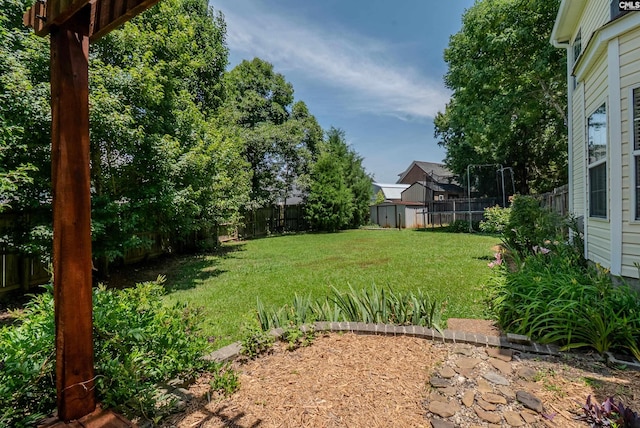 105 Songbird Ct, Chapin, SC 29036 - view of yard
