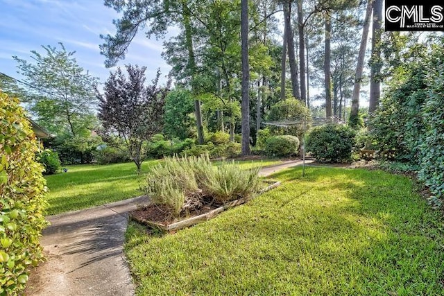 127 Lake Elizabeth Dr, Columbia, SC 29203 - view of green lawn