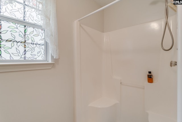 248 N High Duck Trl, Blythewood, SC 29016 - bathroom with a shower and healthy amount of natural light