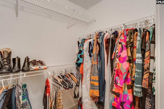 248 N High Duck Trl, Blythewood, SC 29016 - view of walk in closet