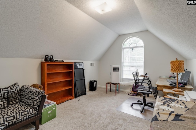 248 N High Duck Trl, Blythewood, SC 29016 - home office featuring carpet, lofted ceiling, a textured ceiling, and baseboards