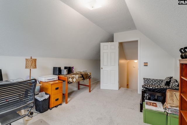 248 N High Duck Trl, Blythewood, SC 29016 - carpeted office featuring a textured ceiling and lofted ceiling