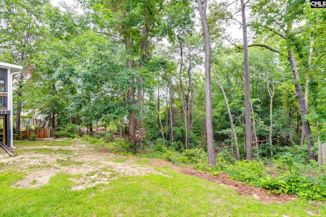 248 N High Duck Trl, Blythewood, SC 29016 - view of yard
