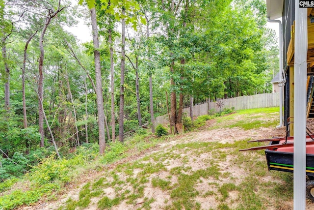 248 N High Duck Trl, Blythewood, SC 29016 - view of yard