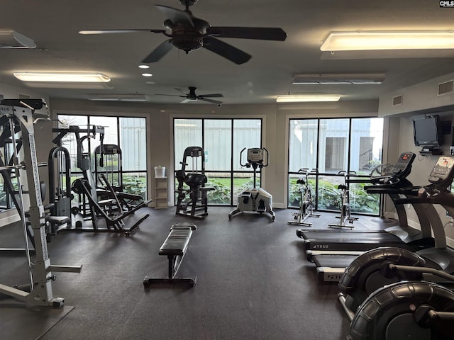 1085 Shop Rd Unit 117, Columbia, SC 29201 - gym featuring a ceiling fan