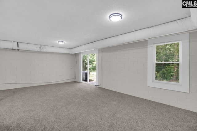 204 Sandcreek Dr, Winnsboro, SC 29180 - carpeted spare room with concrete block wall and a textured ceiling