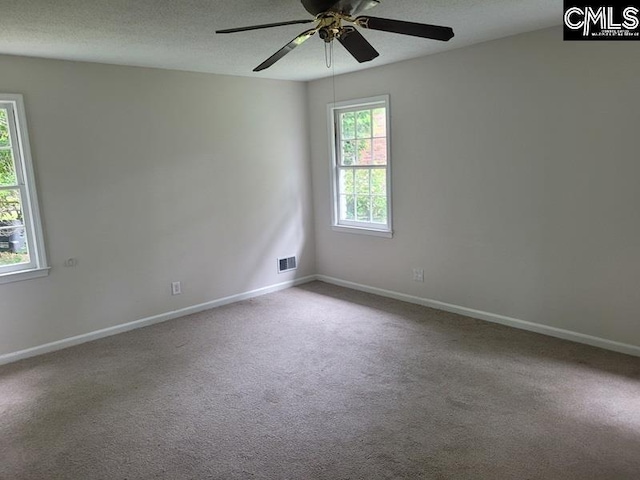 361 Wycombe St, Columbia, SC 29212 - spare room with a ceiling fan, baseboards, carpet flooring, and a textured ceiling