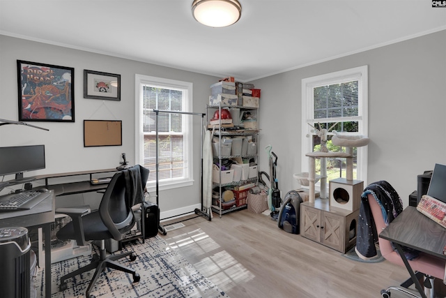 1321 C Ave, West Columbia, SC 29169 - office with wood finished floors and crown molding
